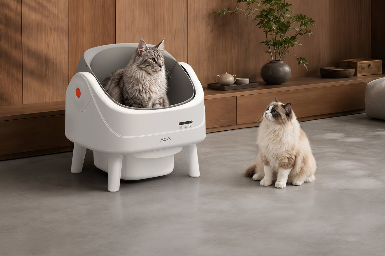 MOVA LB10 Air Litière autonettoyante pour chat Convient aux chats de toutes tailles