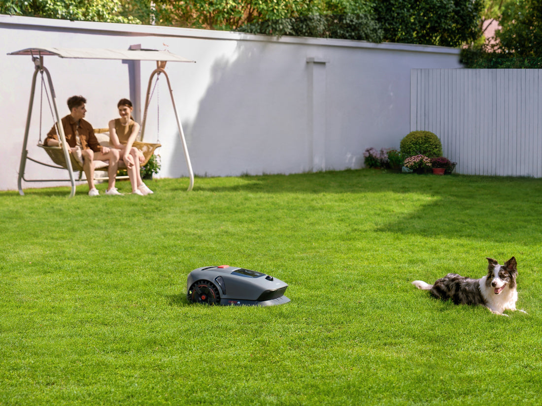 La Meilleure Tondeuse à Gazon Robot pour les Grands Jardins et Terrains Difficiles