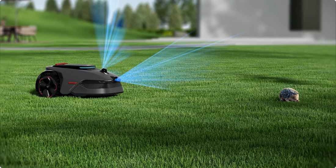 meilleure tondeuse robot pour 2000 m²