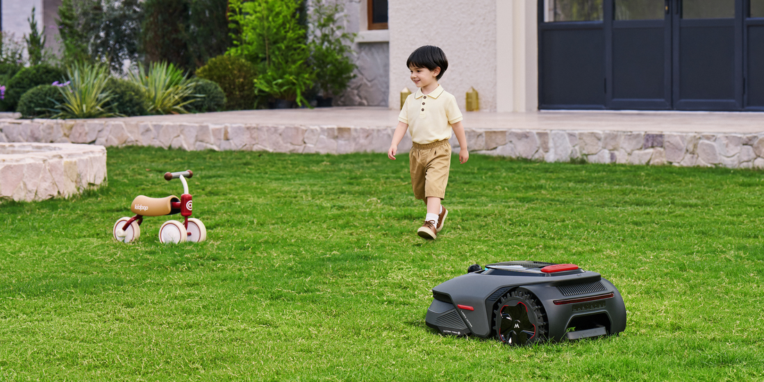 tondeuse petit jardin