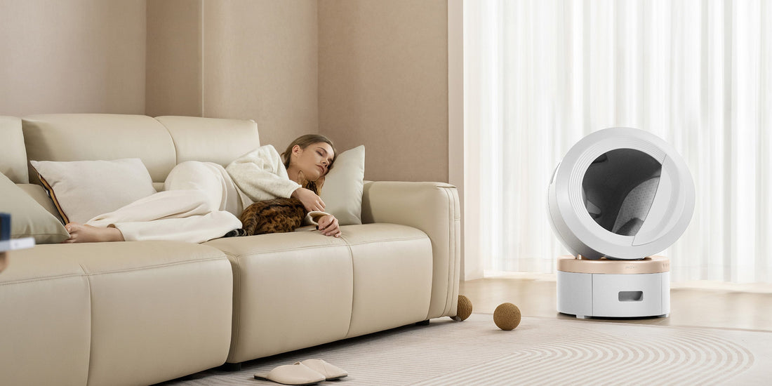 bac à litière automatique pour chat
