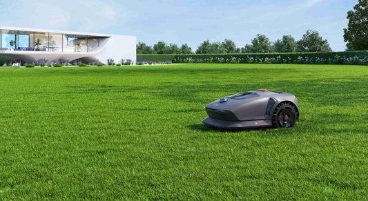 L'Histoire de Notre Client: “Comment la Tondeuse Robot MOVA a Transformé Notre Jardin en Provence”