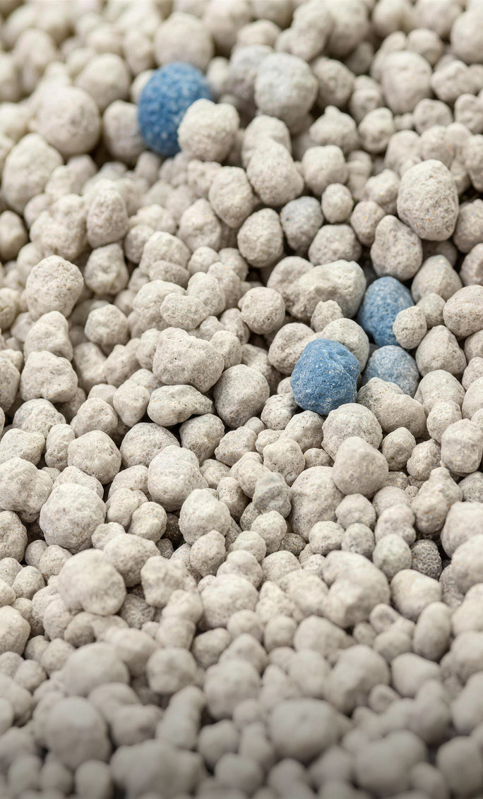MOVA LB10 Air Litière autonettoyante pour chat Litière à la bentonite