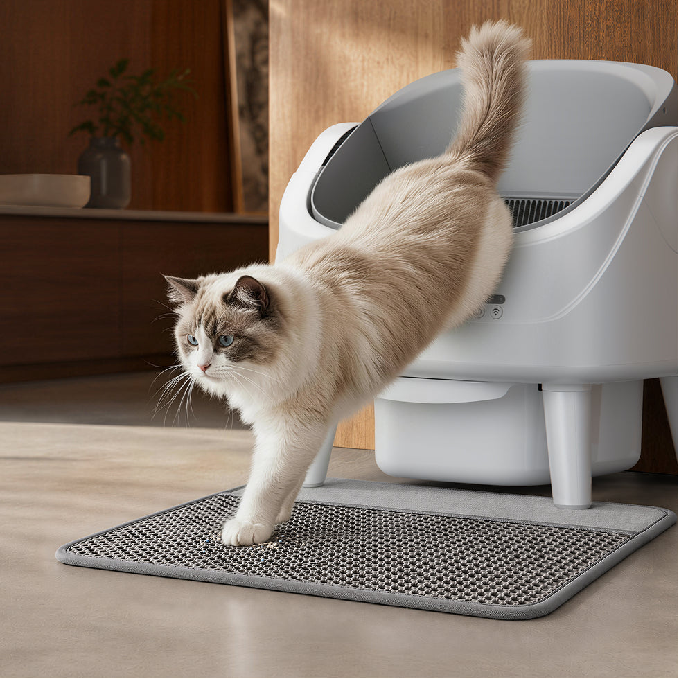 MOVA LB10 Air Litière autonettoyante pour chat La litière reste au bon endroit