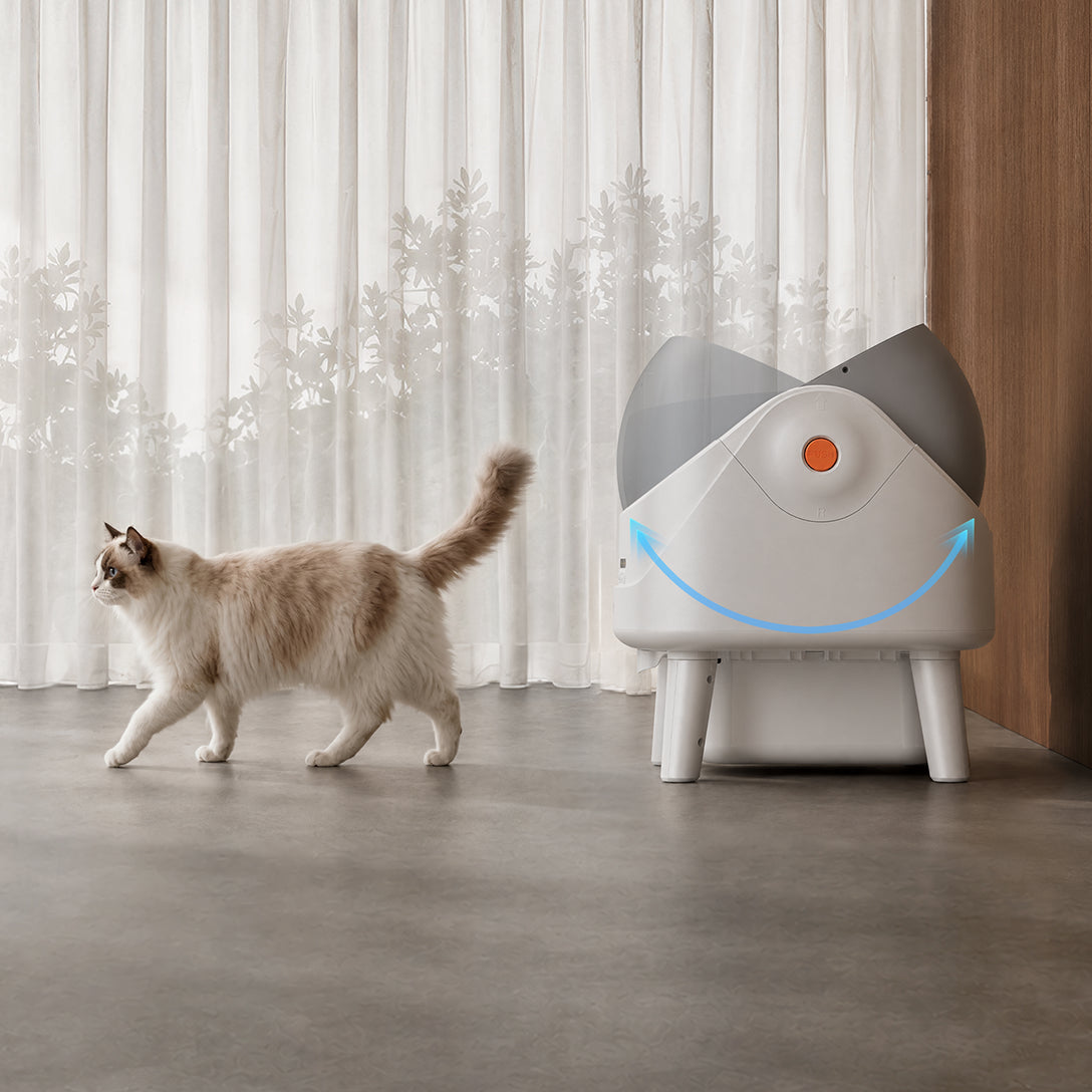 MOVA LB10 Air Litière autonettoyante pour chat Le nettoyage commence dès sa sortie