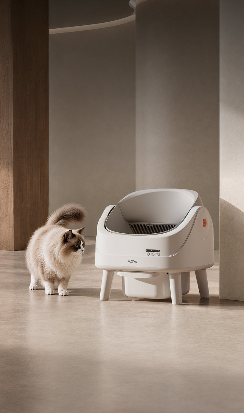 
                      MOVA LB10 Air Litière autonettoyante pour chat LB10 Air

                    