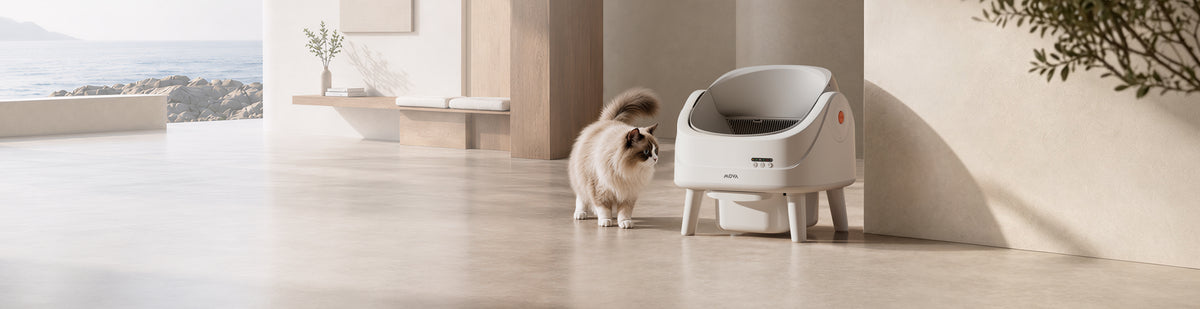 MOVA LB10 Air Litière autonettoyante pour chat LB10 Air