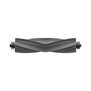 Brosse principale