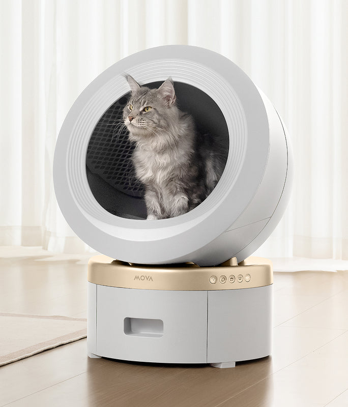 mova lr10 prime scène confort