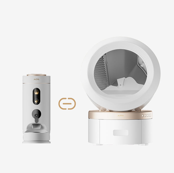 mova lr10 prime synchronisation mangeoire