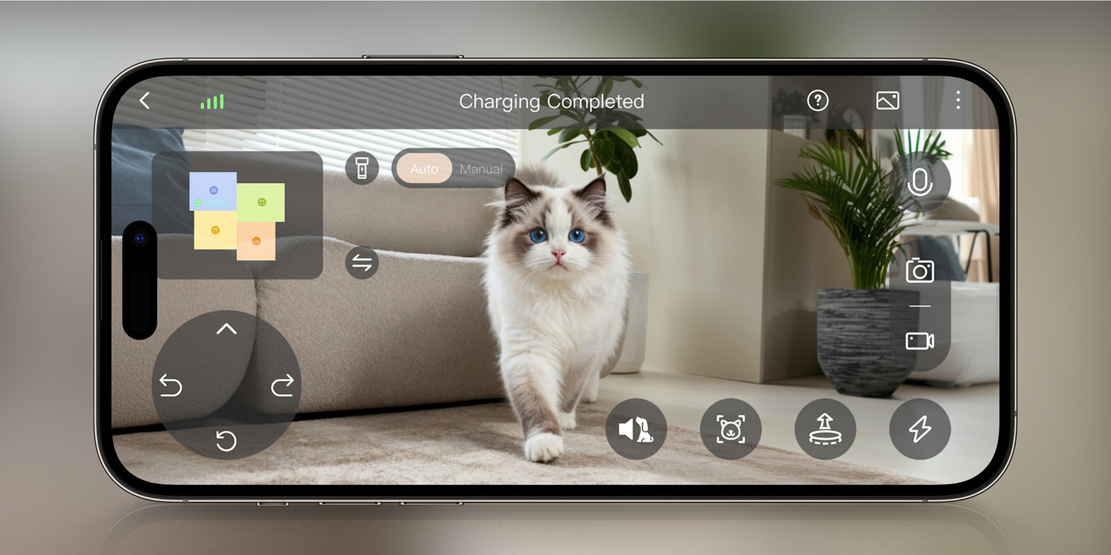 Soin approfondi pour animaux - 
