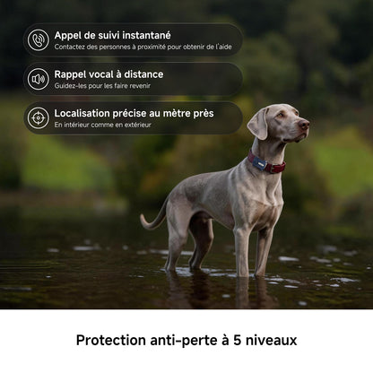 MOVA SureTrack Pro Traceur GPS pour animaux